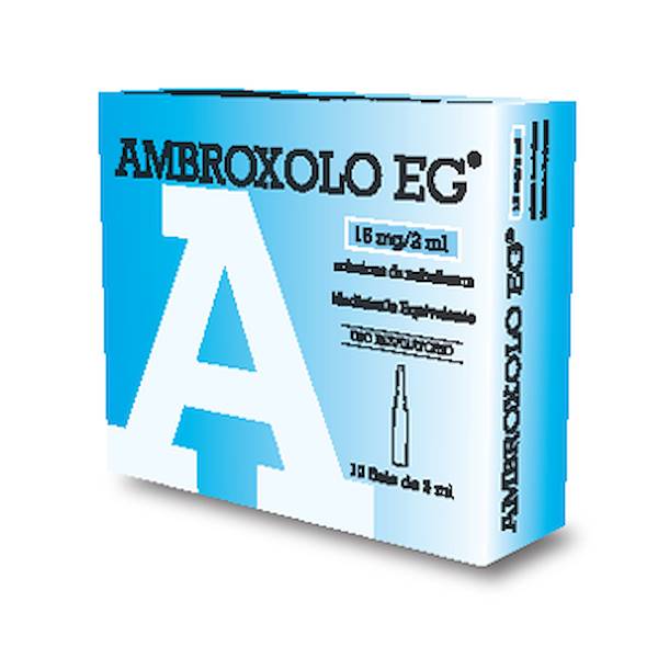 AMBROXOLO EG*AER 10F 15MG 2ML