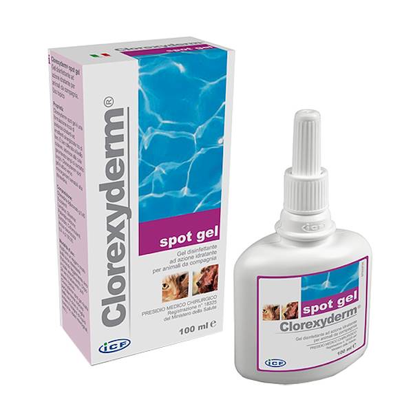 CLOREXYDERM SPOT GEL 100ML