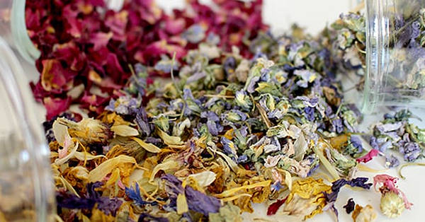 Naturopatia e fitoterapia